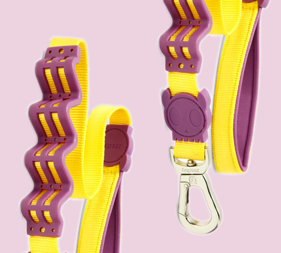 Zee.Dog Ruff Leash Review Gearist